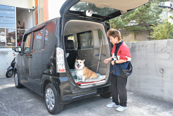 送迎サービス<